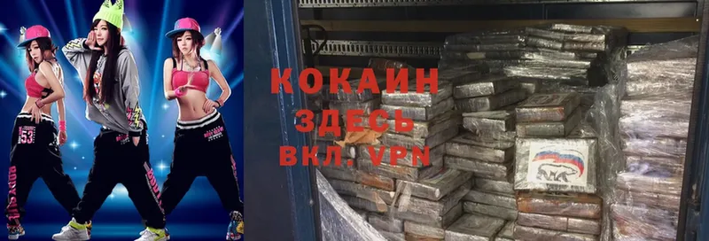 COCAIN Fish Scale  Губкин 